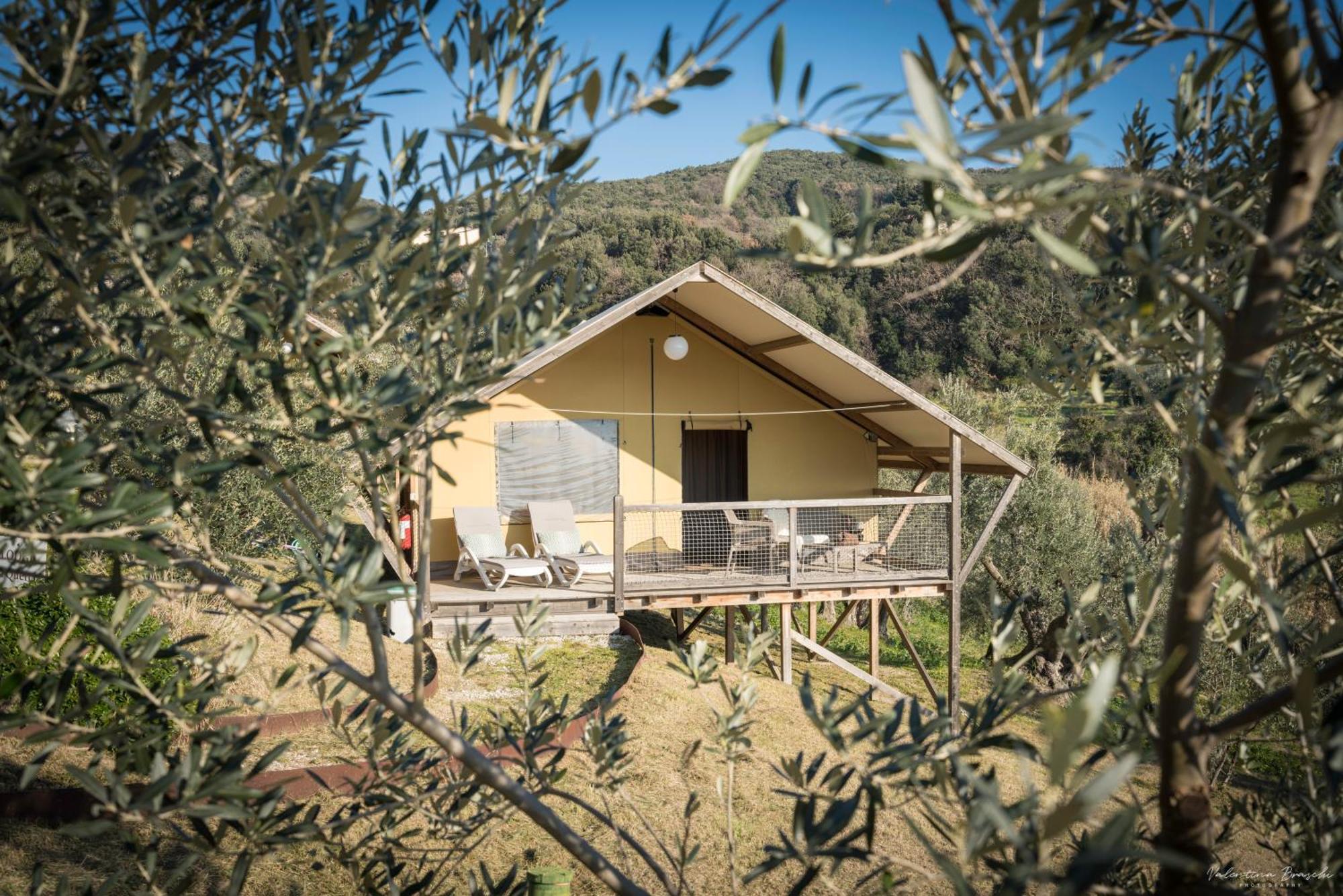 Podere Cortesi Agriturismo Molinaccio Santa Luce Esterno foto