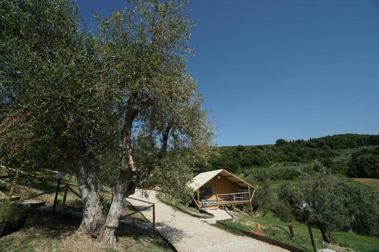 Podere Cortesi Agriturismo Molinaccio Santa Luce Esterno foto