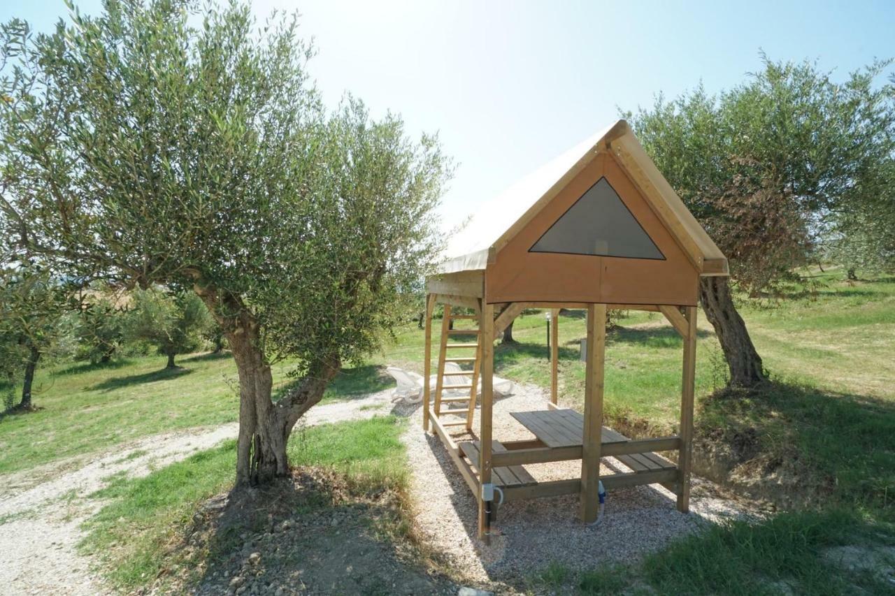Podere Cortesi Agriturismo Molinaccio Santa Luce Esterno foto